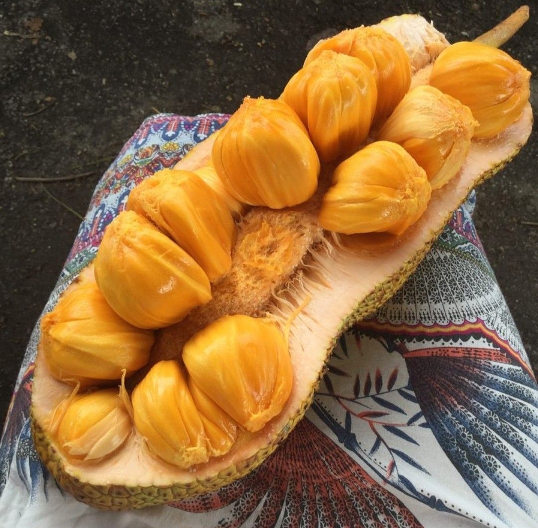 Manfaat Buah Cempedak untuk Kesehatan Jantung